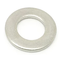 Plain or punched or flat washers