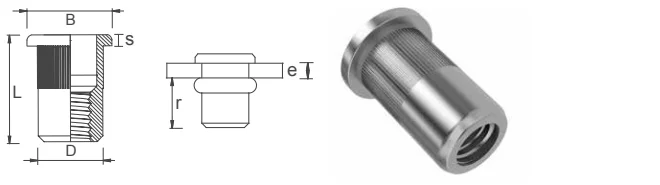 Dimensions of insert rivet nut